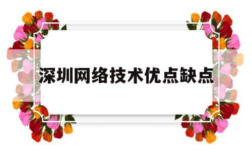 深圳网络技术优点缺点(深圳市网络科技有限公司都有哪些)