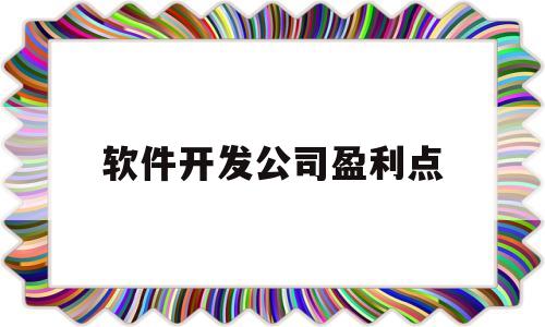 软件开发公司盈利点(软件开发公司盈利点分析)