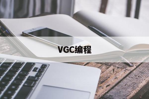 VGC编程(vgc仿真机器人编程)