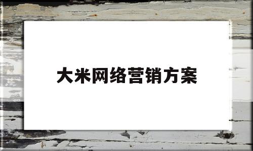 大米网络营销方案(大米互联网营销)