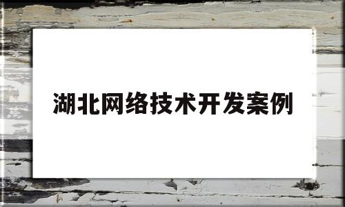 湖北网络技术开发案例(网络科技开发)