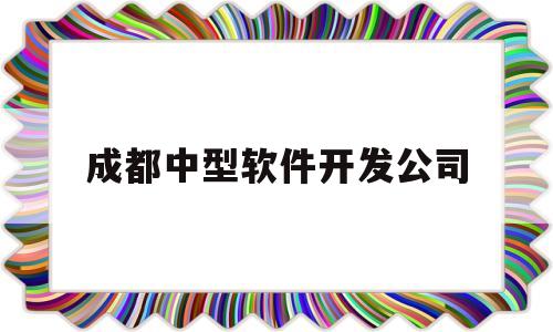 成都中型软件开发公司(成都大型软件公司)