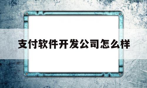 支付软件开发公司怎么样(开发支付软件要多少钱)