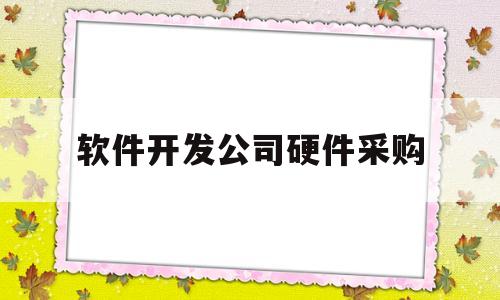 软件开发公司硬件采购(软件开发公司硬件采购流程)