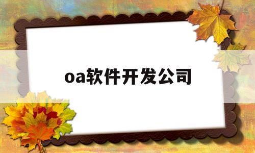 oa软件开发公司(oa软件行业)