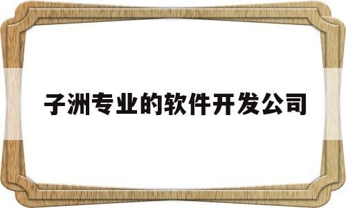 包含子洲专业的软件开发公司的词条