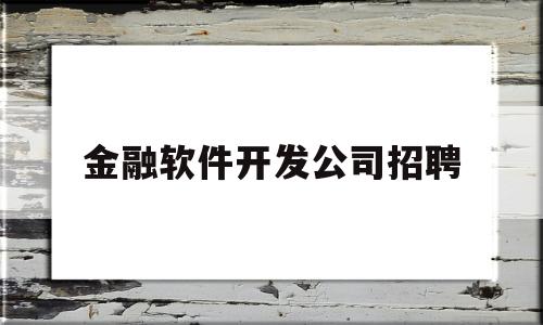 金融软件开发公司招聘(金融行业软件公司)