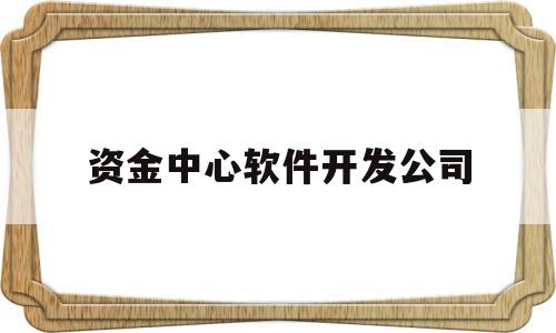 资金中心软件开发公司(软件开发资金来源)