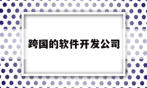 跨国的软件开发公司(国外开发软件)