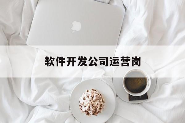 软件开发公司运营岗(软件公司运营部门职责)