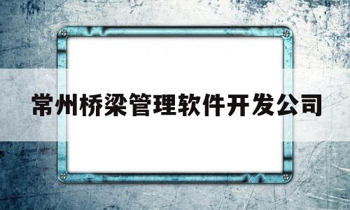 常州桥梁管理软件开发公司(常州做桥架的厂)