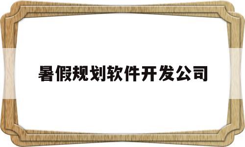 暑假规划软件开发公司(软件开发公司计划书)