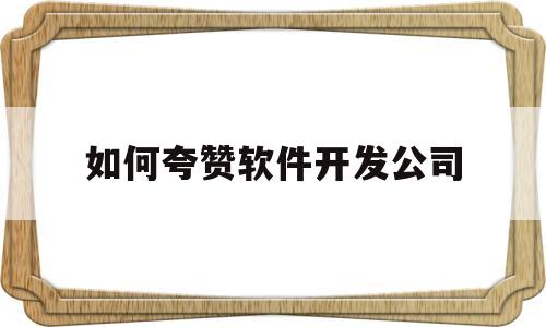 如何夸赞软件开发公司(赞美软件工程师的句子)