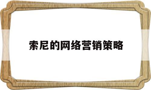 索尼的网络营销策略(索尼的国际营销案例分析)