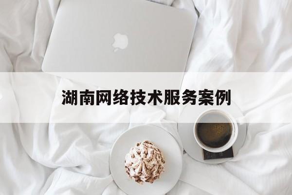 湖南网络技术服务案例(网络科技服务)