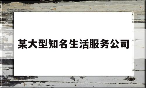 某大型知名生活服务公司(某大型知名生活服务公司招聘)