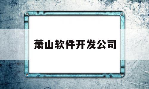 萧山软件开发公司(萧山软件开发公司有哪些)