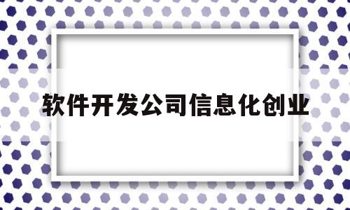 软件开发公司信息化创业(软件开发企业信息化管理方向)