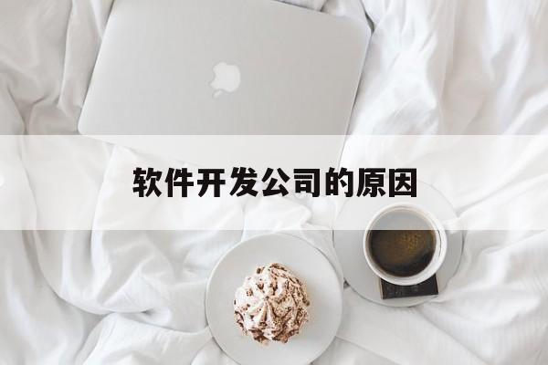 软件开发公司的原因(软件开发公司是干嘛的)