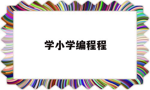 学小学编程程(小学学编程编程是什么东西)