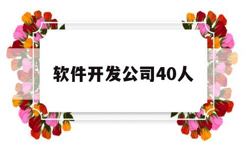 软件开发公司40人(软件开发公司40人工作)