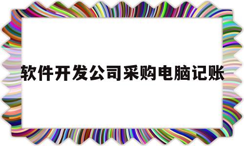 软件开发公司采购电脑记账(软件开发公司的账务处理)