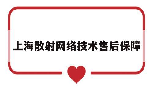 上海散射网络技术售后保障(上海散爆网络科技招聘)