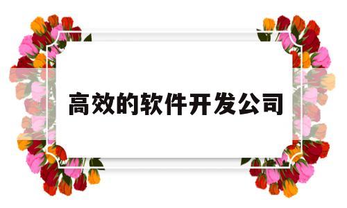 高效的软件开发公司(最好的软件开发公司)