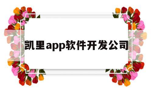 凯里app软件开发公司(凯里app软件开发公司招聘)