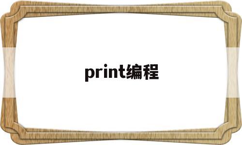 print编程(print编程用法)