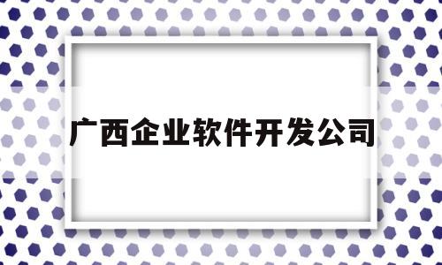 广西企业软件开发公司(广西企业软件开发公司排名)