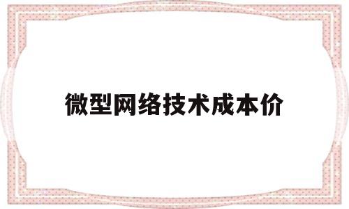 微型网络技术成本价(微型网络技术成本价多少)