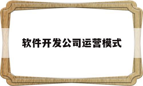 软件开发公司运营模式(软件开发公司的盈利模式)