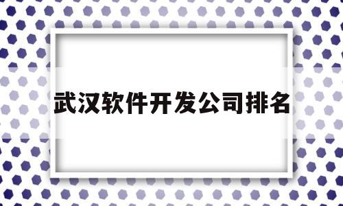 武汉软件开发公司排名(武汉软件开发工资一般多少)