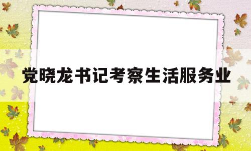 党晓龙书记考察生活服务业(党晓龙以前是谁的警卫员)