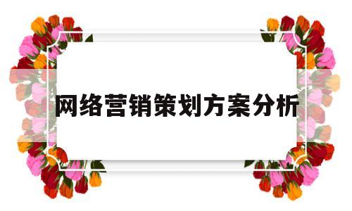 网络营销策划方案分析(网络营销策划方案分析模板)