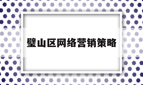 璧山区网络营销策略(网络营销策划方案模板范文)