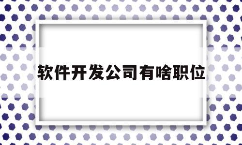 软件开发公司有啥职位(软件开发公司一般叫什么名字)