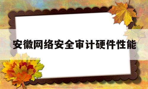 安徽网络安全审计硬件性能(安徽网络安全审计硬件性能提升)