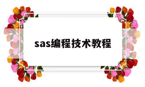 sas编程技术教程(sas编程技术教程朱世武)