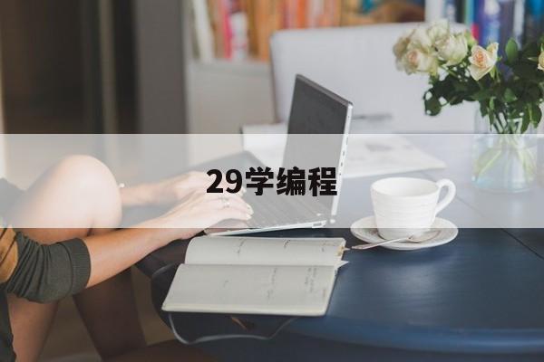 29学编程(学编程大概多长时间)