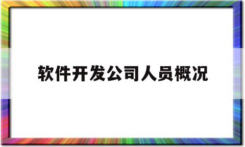 软件开发公司人员概况(软件开发公司的职位)