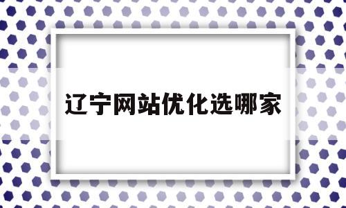 辽宁网站优化选哪家(沈阳网站优化推广方案)