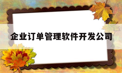 企业订单管理软件开发公司(企业订单是什么)