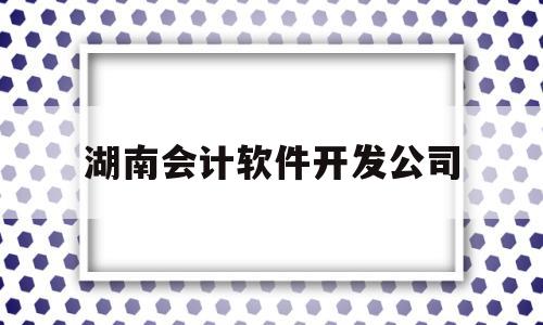 湖南会计软件开发公司(湖南会计公司有哪些)