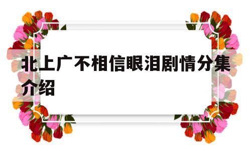 北上广不相信眼泪剧情分集介绍(北上广不相信眼泪 电视剧剧情)