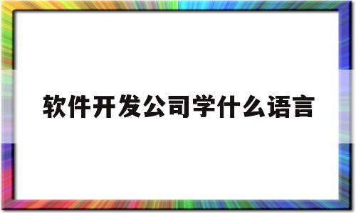 软件开发公司学什么语言(开发软件要学什么语言)