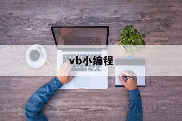 vb小编程(vb编程视频教学视频)