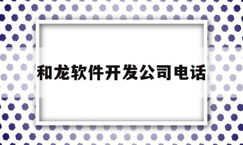 和龙软件开发公司电话(和龙信息)