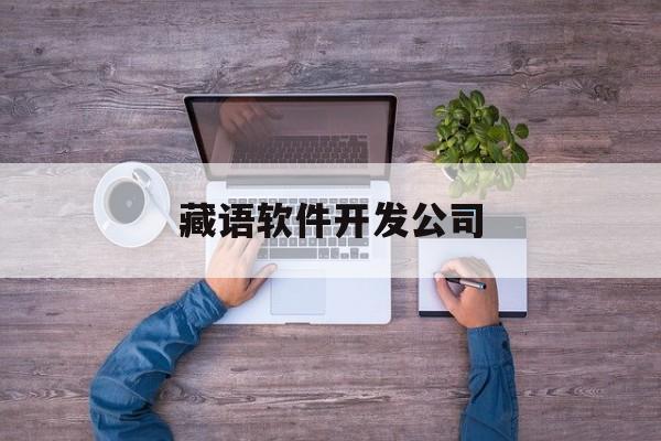 藏语软件开发公司(藏语故事软件)